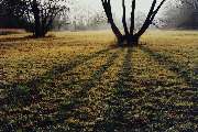 zv�t�it